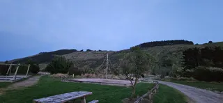 Okains Bay campground photo 5