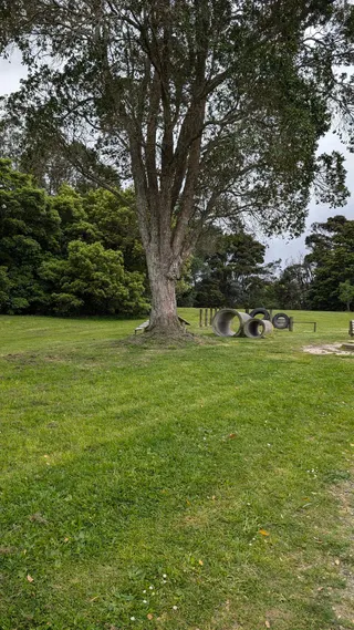 Manuka Reserve photo 7