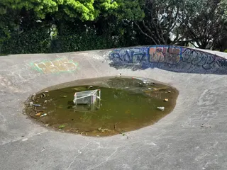 Waenganui/Allenby Park photo 8