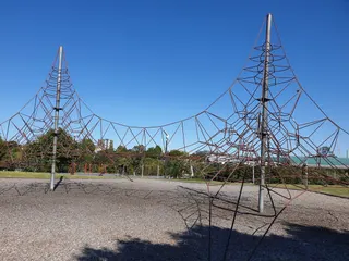 Te Kotuitanga Park | Olympic Park Playground