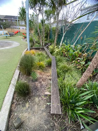 Jean Sampson Reserve photo 5