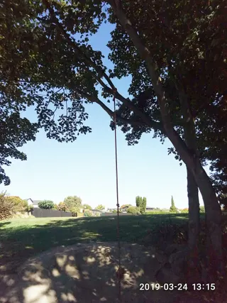 Burnside Park photo 6