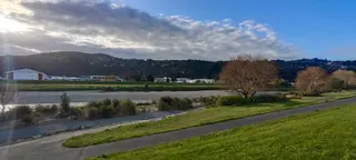Ava Park