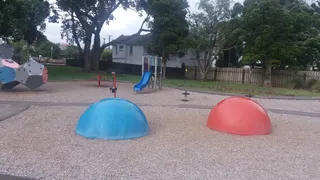 Owairaka Park