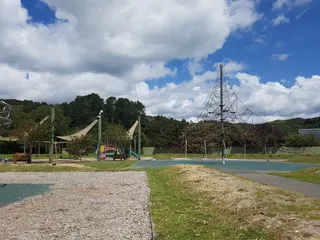Maidstone Park photo 3