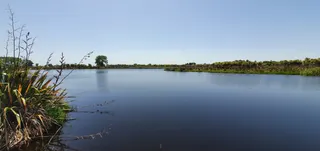 Waiwhakareke Natural Heritage Park