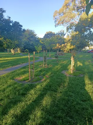 Sheps' Park Playground