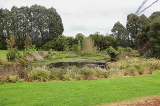 [source: kapiti-coast https://www.kapiticoast.govt.nz/explore-kapiti/recreation/parks-and-reserves/parks/gandalf-crescent/]