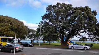 Windsor Reserve photo 9