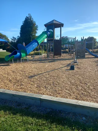 Harrington Park Playground photo 3