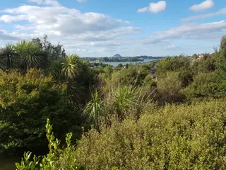Hidden Park