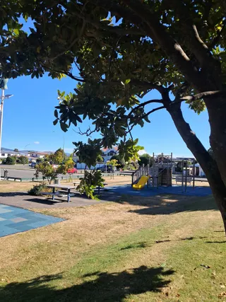 Hokowhitu Domain Playground photo 4