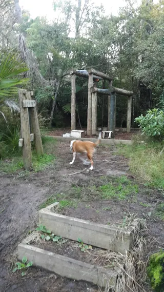 Tiakina / Sister Rene Shadbolt Park photo 9
