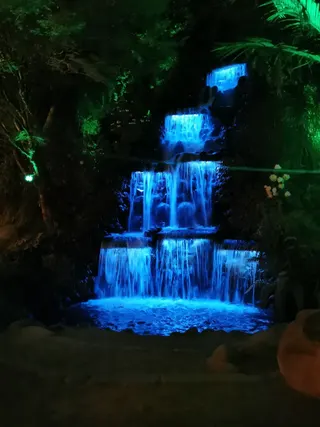 Pukekura Park photo 8