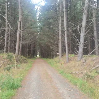 Visit photo